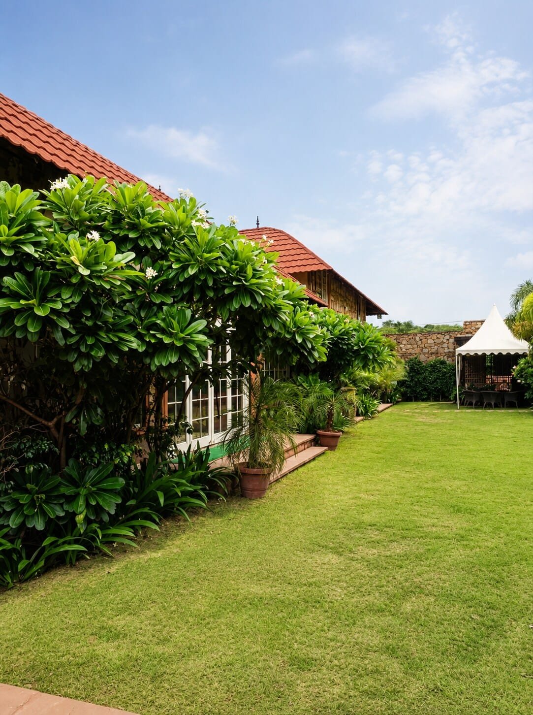 Garden lawn along the stone villa, bordered by plants